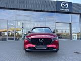 Mazda CX-5 2.5 (194PS) FWD Autom. Homura Allwetterr. 3 - Mazda CX-5: Homura