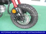 Honda MONKEY 125*Modell 2025*ROT* - HONDA MONKEY