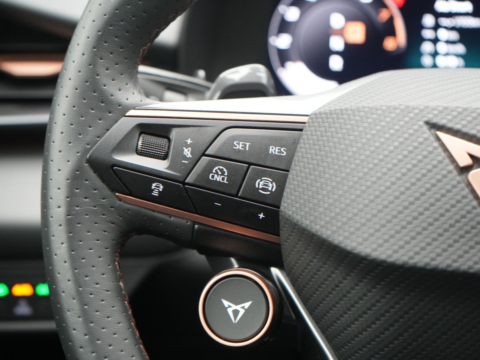 Cupra Terramar - Bild 5