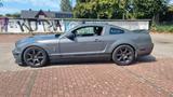 Ford Shelby GT500 mit Voll-Performance-Setup - Ford Mustang aus 2008: Gt500