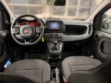 Fiat Panda Cross MY23 HYBRID | Tech Paket | CarPlay - Fiat Panda Gebrauchtwagen in Stuttgart