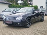 Mercedes-Benz CLK 200 CLK Cabrio/Tüv/Au/Ölservice ist Neu - gebrauchte Mercedes-Benz CLK-Klasse aus dem Jahr 2008