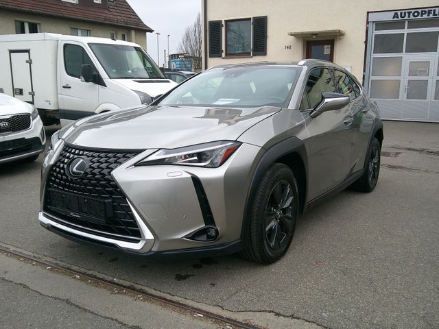 Lexus UX 200 Launch Edition Navi Kamera  ACC Bi-LED