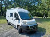 Fiat Ducato - Fiat Ducato von privat