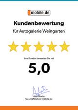 Ford Focus 1.6 Klima 1. Hand Ahk PDC - Ford Focus aus 2009: Kombi