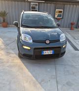 Fiat FIAT PANDA 1.2 GPL SPORT - Fiat Panda: Sport