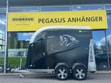 Bücker Trailer Careliner M Vollpoly Aluboden TOP  2,4t. - Bücker Trailer LKWs