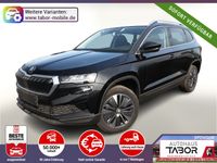 Skoda Karoq - Vorschau Bild 1