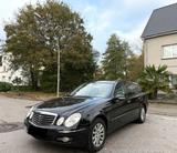 Mercedes-Benz E 320 CDI 4MATIC T AVANTGARDE DISTRONIC - Mercedes-Benz E 320 mit Diesel-Antrieb