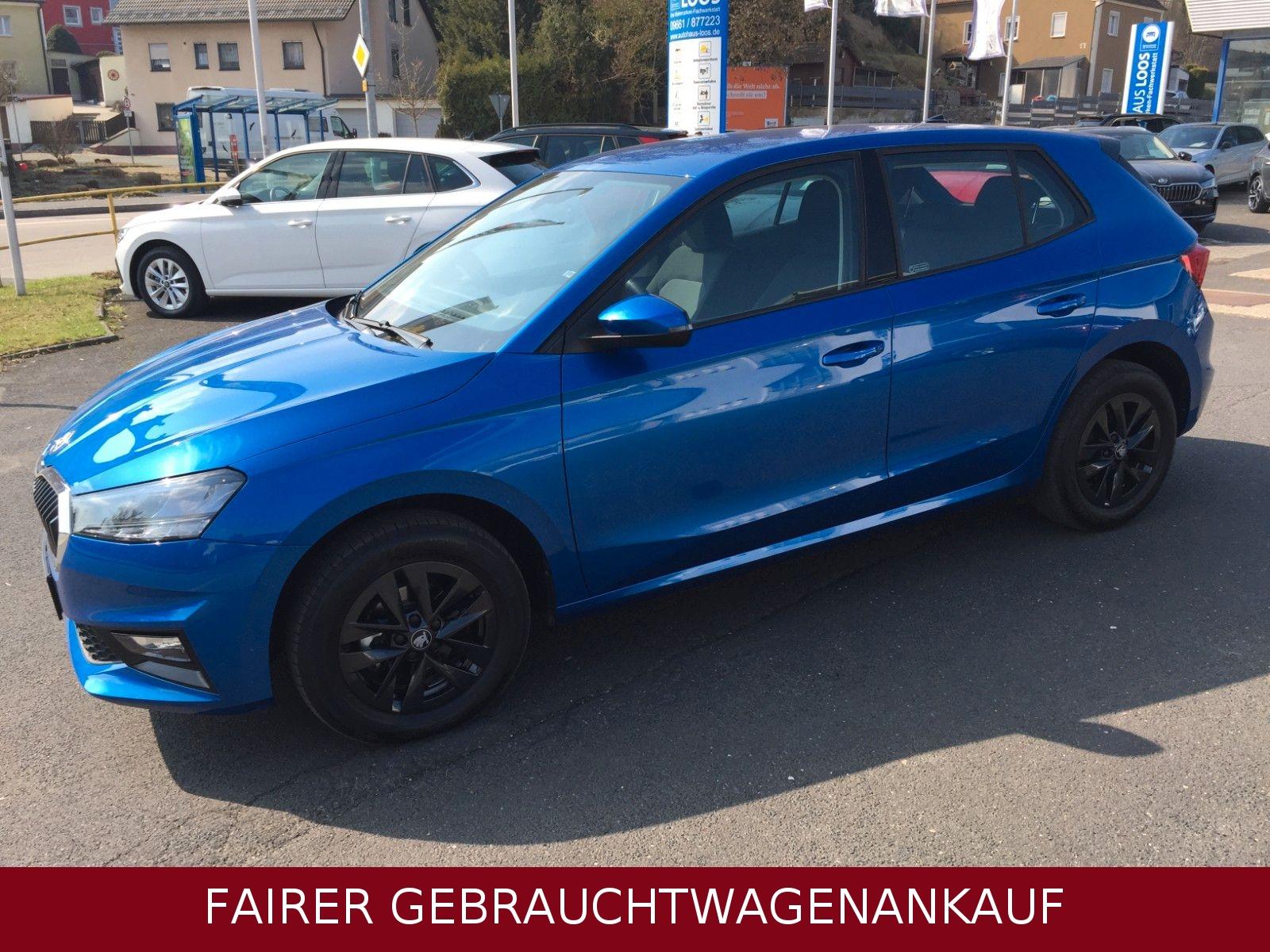 Skoda FABIA EDITION 130 JAHRE KAMERA VIRT COCKP SHZ