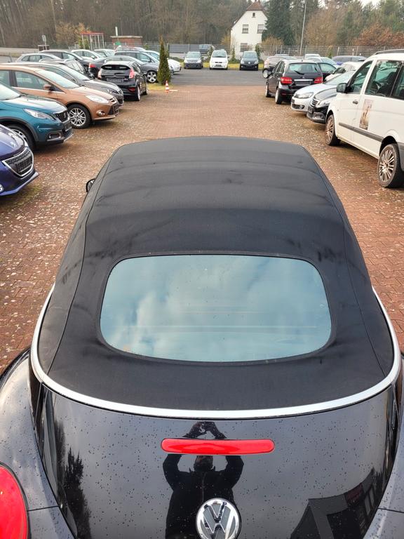 Volkswagen New Beetle