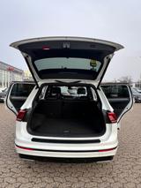 Volkswagen R-Line|Panorama|Dynaudio|Discover Pro| Garantie - Volkswagen Tiguan in Kiel