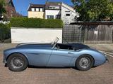 Austin Healey 3000 Mark II BT7 - gebrauchte Austin Healey Roadster