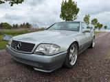 Mercedes-Benz SL 600 - Mercedes-Benz SL 600: Silber