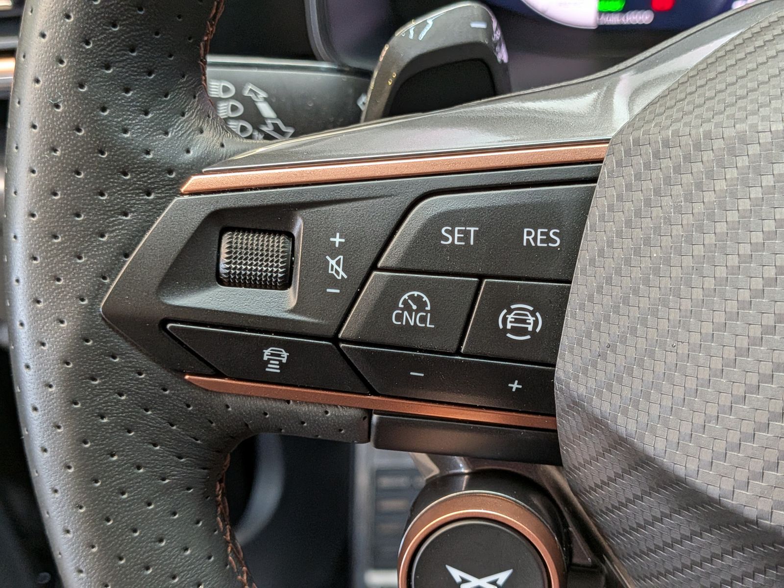 Fahrzeugabbildung CUPRA Leon 1.5 eTSI Dynamic-Edge-Paket AHK*PANO*CAM*18