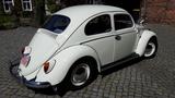 Volkswagen Käfer 1200 mit Winker und Blinker original - Volkswagen Käfer mit Benzin-Antrieb: Kleinwagen