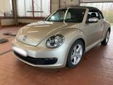 Volkswagen Beetle Cabriolet orig. 33.000km+DSG+Klima+Leder+ - Volkswagen Beetle