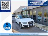 Audi Q5 2.0 TDI 170 CV quattro S tronic - Audi Q5 mit Diesel-Antrieb: Kombi, Automatik