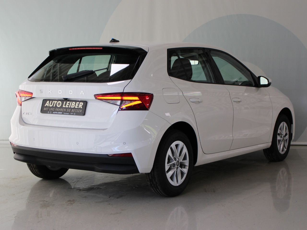 Fahrzeugabbildung SKODA Fabia 1.0 TSI Selection RFK/APP/SHZ/LANE