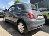 Fiat 500 1.0 Mild Hybrid Cult - Fiat Gebrauchtwagen von 2021