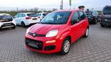 Fiat Panda Easy 1. Hand+Klima+Allwetterreifen+SH gepf - Fiat Panda Gebrauchtwagen in Mannheim