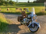 Indian Chief Vintage - INDIAN CHIEF VINTAGE