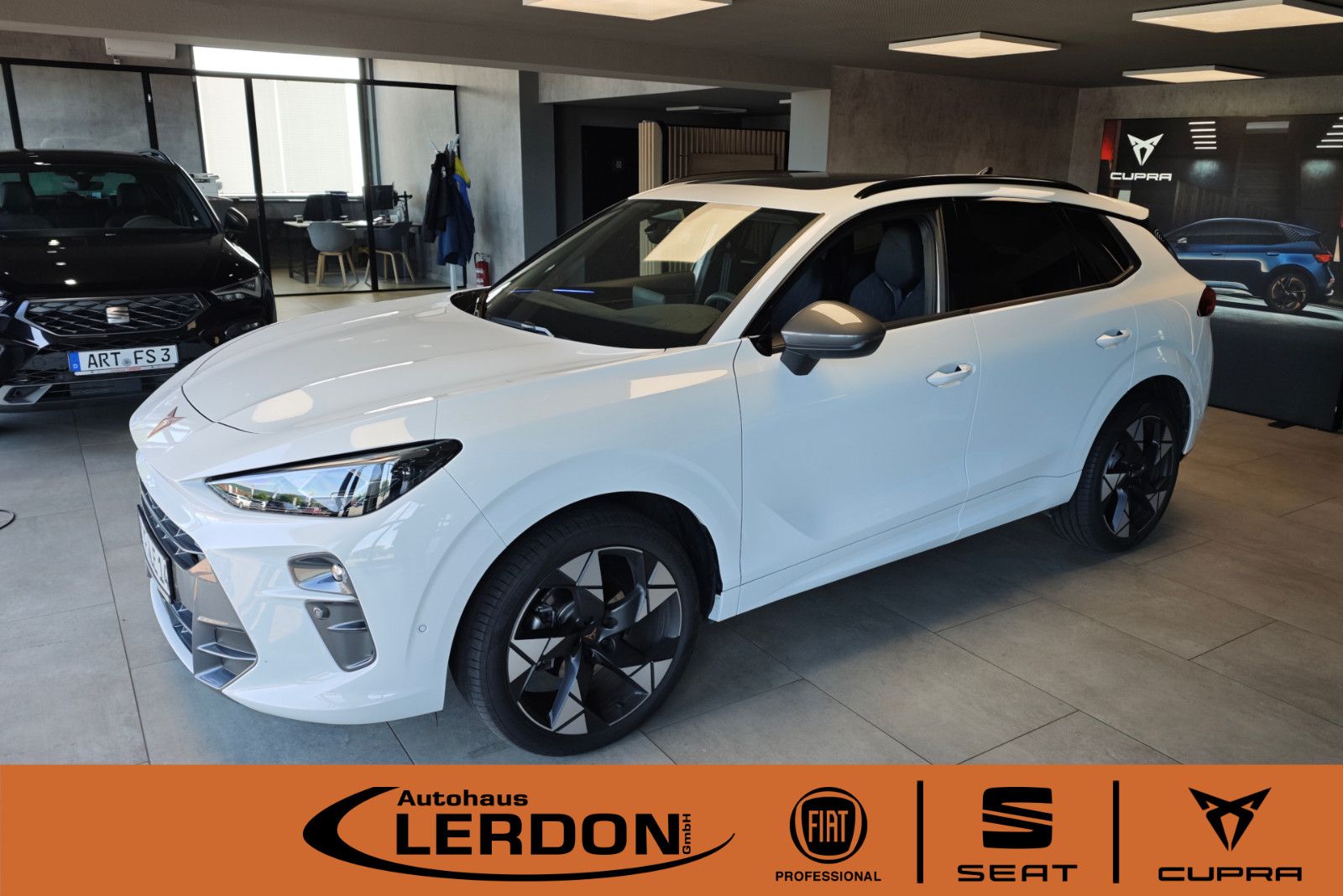 Cupra Terramar 1.5eTS IDSG  HeadUp|Sennh|Pano