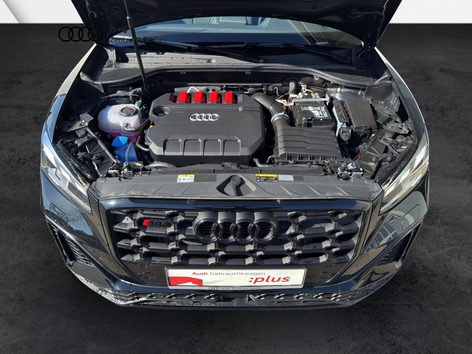 Audi SQ2 - Bild 15