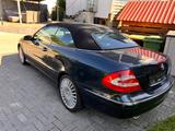 Mercedes-Benz CLK 500 CLK Prins Gasanlage  Leder Navi Aut - schwarze Mercedes-Benz CLK 500