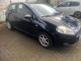 Fiat Punto - Fiat Punto in Dortmund