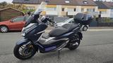 Honda Forza 300 in Super Zustand 7500km - HONDA FORZA 300