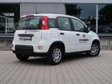 Fiat Pandina 1,0 GSE Klimaanlage PDC M+S - Fiat Panda Pandina mit Hybrid-Antrieb (Benzin/Elektro)