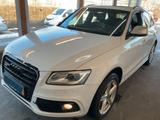 Audi SQ5 3.0 TFSI +BI-XENON+PANO+B&O+LEDER+TOTW.+AHK+ - Audi SQ5 mit Benzin-Antrieb: Geländewagen