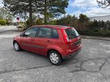 Ford Fiesta 1.4 TDCI Ambiente - Ford Fiesta aus 2009: Ambiente
