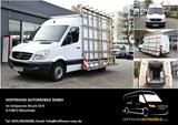 Mercedes-Benz Sprinter 313 CDI Kasten Glasreff L2H2 RWD Glass - Mercedes-Benz Sprinter: 313