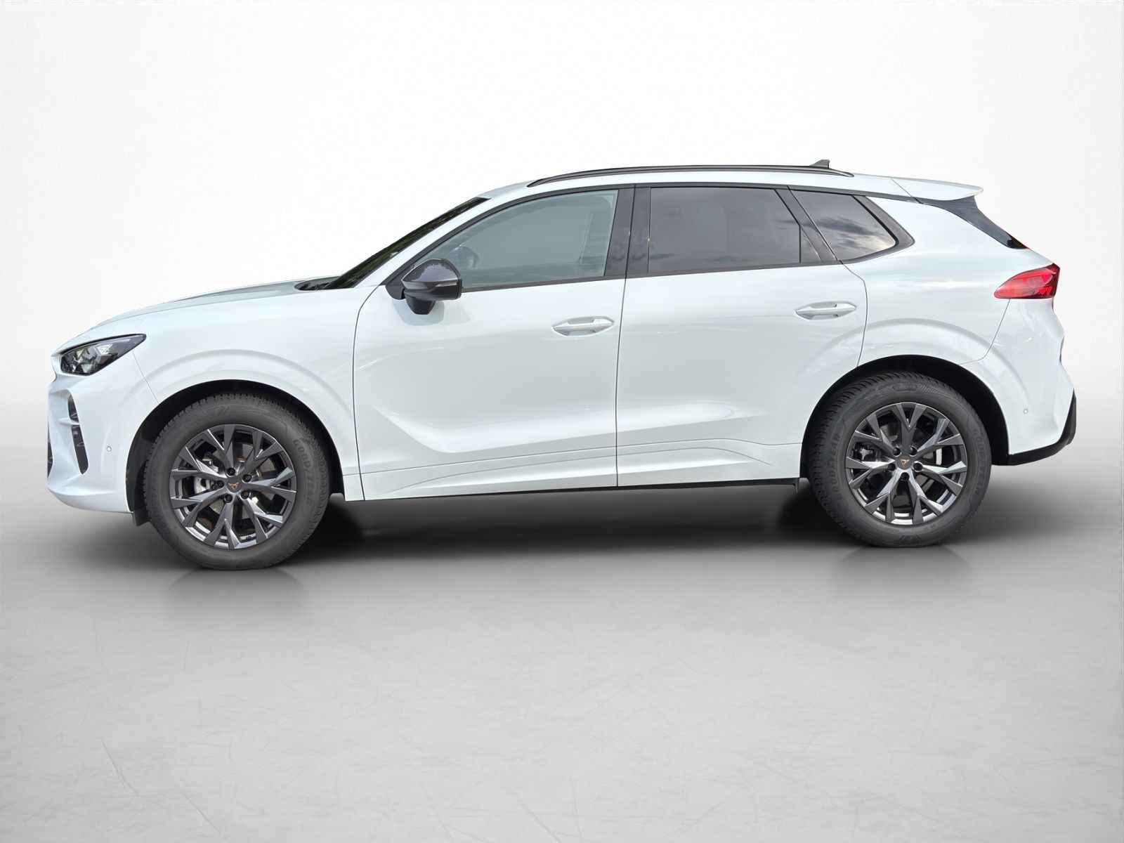 Cupra Terramar 1.5 TSI DSG Navi Kamera Matrix Keyless foto 4