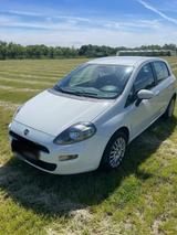 Fiat Punto 1.4 benzin - Fiat Punto Gebrauchtwagen in Hamburg