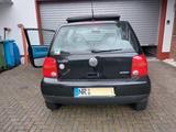 Volkswagen Lupo 1.0 BASIS Basis - Volkswagen Lupo mit Panoramadach
