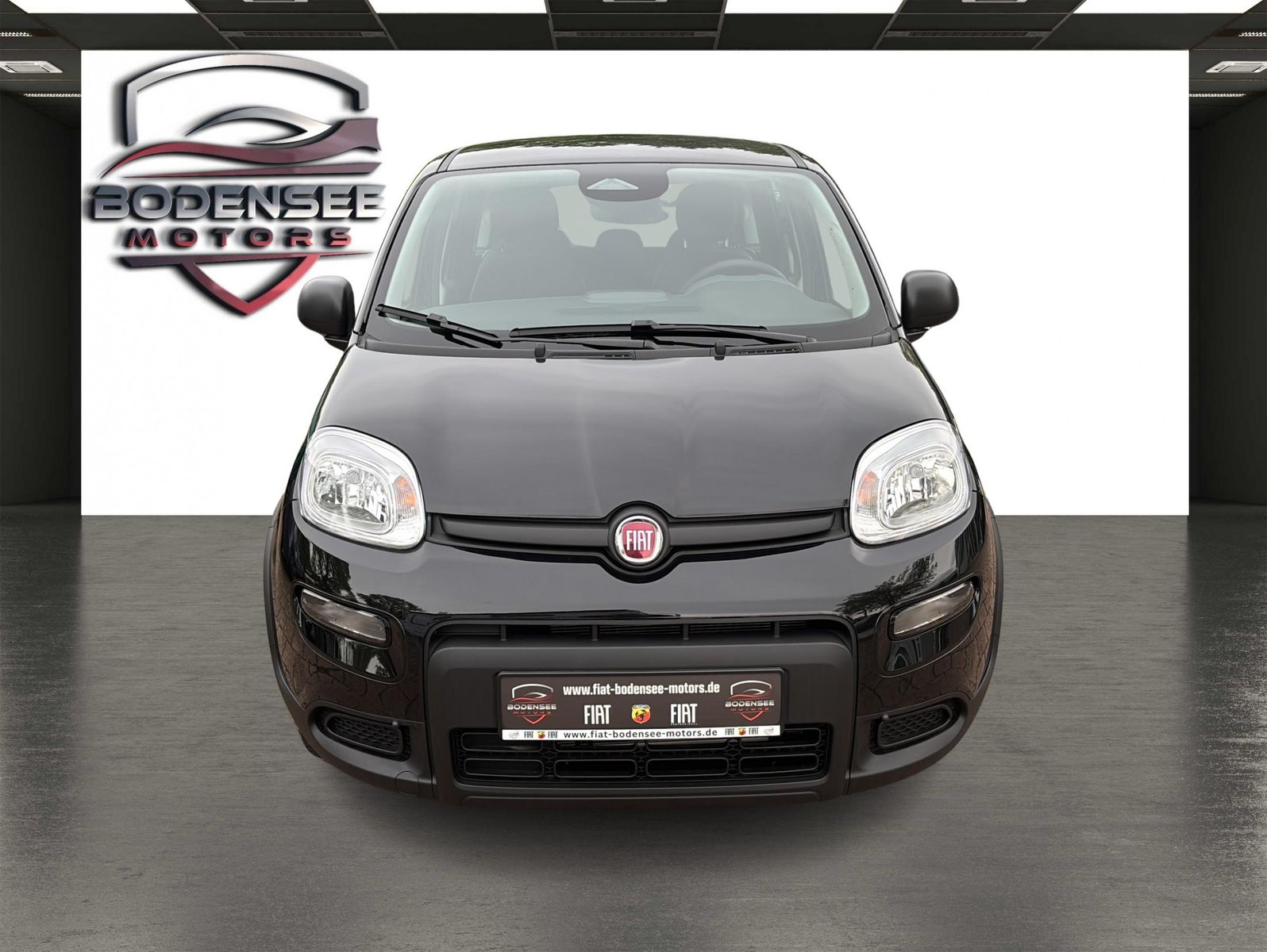 Fahrzeugabbildung Fiat Panda Pandina