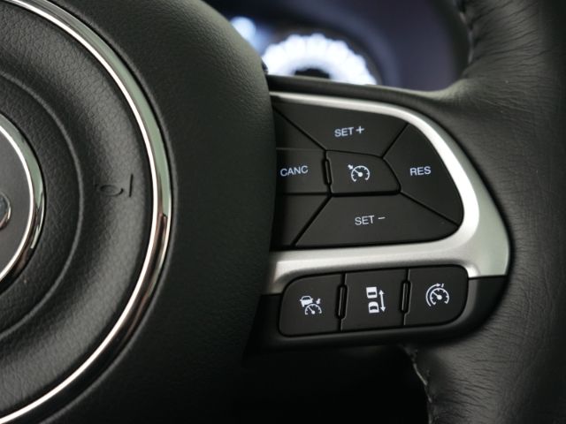 Renegade LIMITED MHEV DCT+NAVI+RÜCKFAHRKAMERA+PA