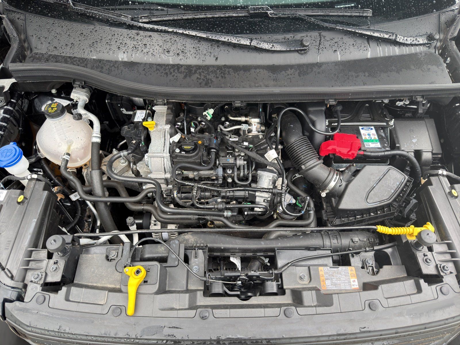Fahrzeugabbildung Ford Tourneo Courier 1.0 Trend AHK/ACC/KAMERA/NAVI/