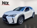 Lexus UX 250 h Style+ Edition KAMERA EPH - Lexus Gebrauchtwagen in Frankfurt