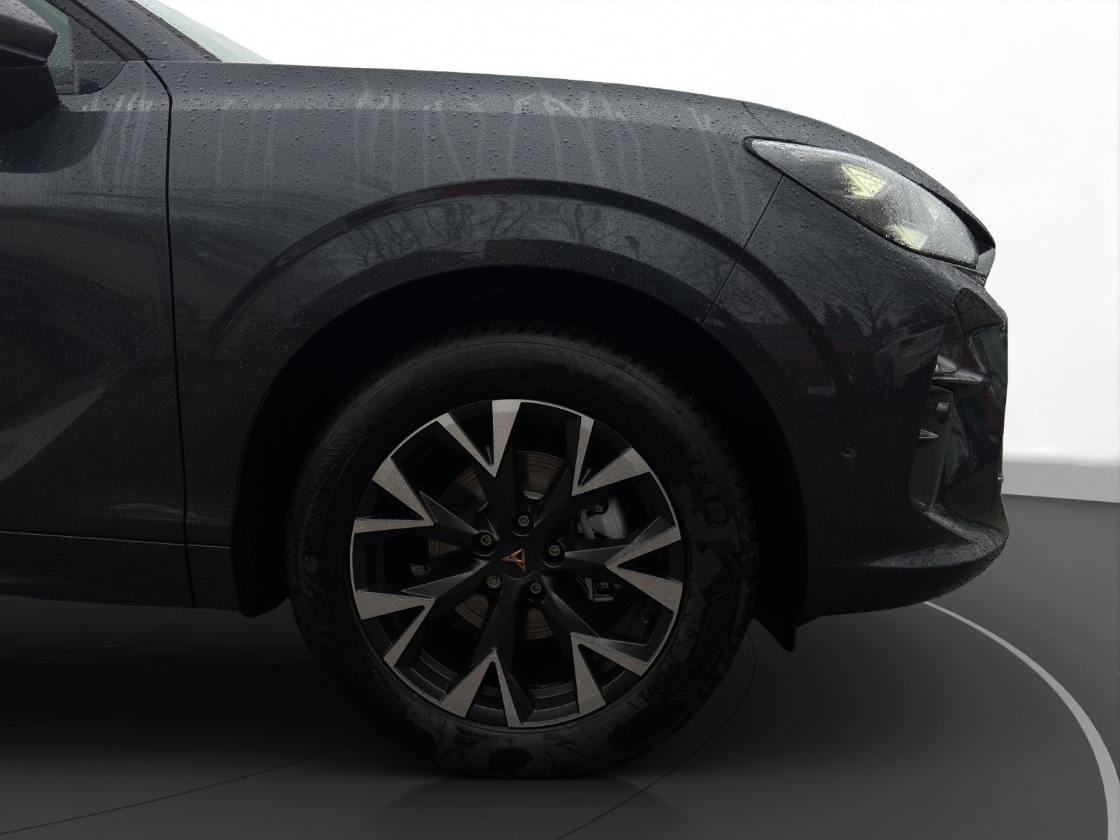 Cupra Terramar - Bild 12