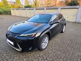 Lexus UX 250h Executive Line Hybrid (10/2022) - Lexus Gebrauchtwagen von 2022