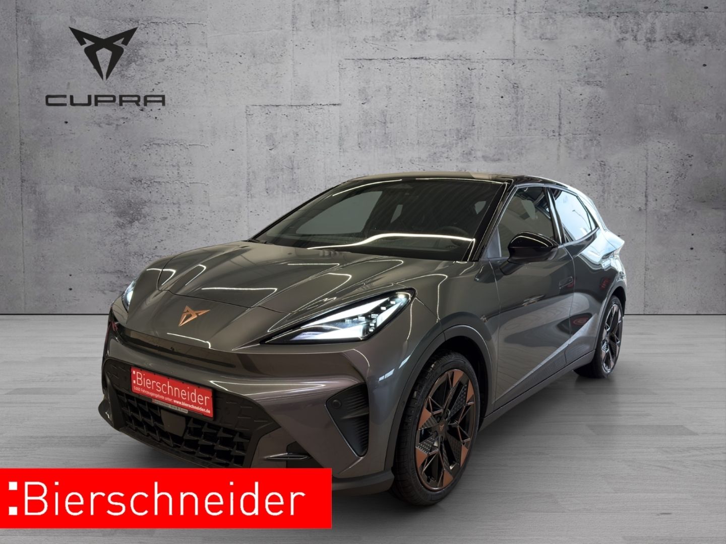 Cupra Raval Endurance Edition Dynamic Plus 19 TOP VIEW