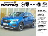 Opel Grandland X Ultimate 2.0 Diesel DAB Navi - Opel Gebrauchtwagen in Bayreuth