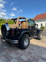 Jeep Wrangler Sahara 4.0 Automatik  - Jeep Wrangler mit Benzin-Antrieb: 4.0