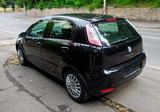 Fiat Punto 1.2 8V POP - Fiat Punto: 1.2