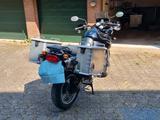 Triumph Tiger  T709 - Offers matching your search criteria