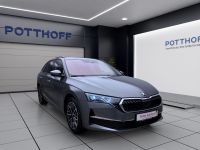 Skoda Octavia - Vorschau Bild 6